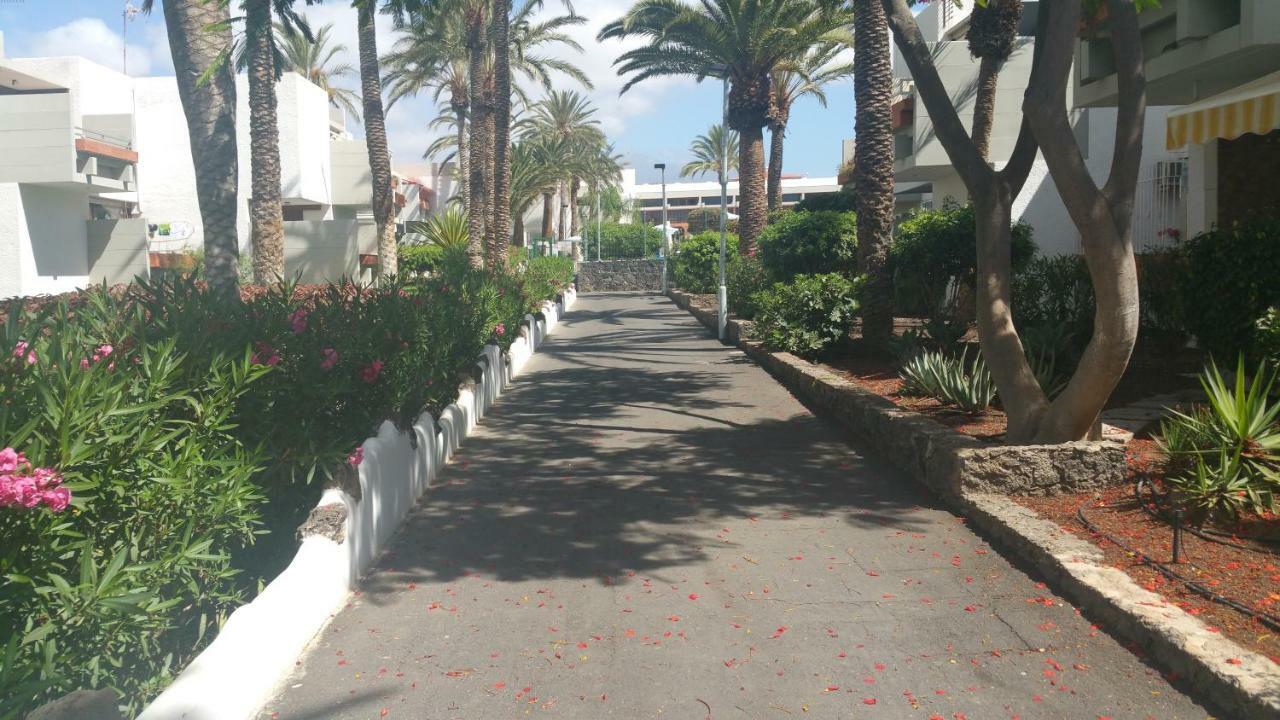 Residencial Primavera Costa Del Silencio Zewnętrze zdjęcie